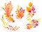 Autumn decoration Watercolor leaves and berries Fall elements