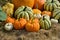 Autumn decorative pumpkins on field