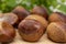 Autumn delicacies, chestnuts, white, white background