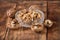 Autumn Delights: Capturing the Beauty of Natural Walnuts