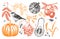 Autumn design elements in sketched style. Botanical drawings of autumn leaves, pumpkins, berries, bird. Vintage fall plants hand