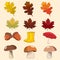 Autumn detailed elements in vector