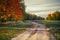 Autumn dirt road among trees with yellow leaves