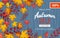 Autumn discount flyer. Special offer, big seasonal sale, great discounts. Horizontal banner with yellow and red leaves.