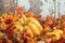 Autumn display with a squash surrounded by decorative gourds and