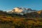 Autumn Display Throughout Paradise at Base of Mount Rainier