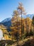 Autumn Dolomites rocky mountain view from Fedaia Pass, Italy