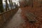 Autumn dramatic park outdoor nature scenic view landscape photography with orange falling leaves and lonely wooden bench