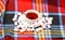 Autumn drink concept. Tea party with sweets. Mug filled with black brewed tea and spoon on colorful cozy plaid