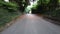 Autumn Drive Through Tranquil Countryside Roads