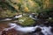 Autumn on the east lynn river somerset uk