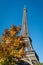 Autumn Eiffel Tower in Paris