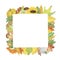 Autumn element arrangement, pumpkin, poppy, sunflower, forest mushroom multicolored green, orange, yellow leaves seasonal fall