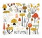 Autumn elements collection in flat style. Mushroom Forest. Colorful set with hand drawn mushrooms. Childish illustration