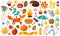 Autumn elements. Yellow falling leaves, plants and food, harvest festival and thanksgiving day attributes for card or