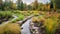 Autumn Embrace: A Constructed Wetland\\\'s Rich Tapestry in Fall\\\'s Palette