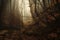 Autumn enchanted forest with sun rays and fog