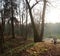 Autumn evening landscape. Park area, in the distance, fuzzy silhouettes of walking people. In the foreground are dark tree trunks