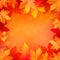 Autumn, fall background with bright golden maple leaves