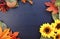 Autumn Fall Background with Decorated Borders.