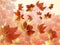 Autumn fall background. Many colorful red and orange autumn blurred leaves with sun rays