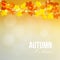 Autumn, fall card, banner. Garden party decoration. String of polygonal oak, maple leaves, lights. Modern blurred .