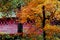 AUTUMN-FALL- Colorful Foliage at the Henry Covered Bridge