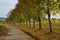 Autumn Fall colours at Dorking, Surrey, England