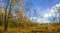 Autumn or fall country road in the forest with sunflare or sunrays