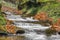 Autumn at Fall Creek Gorge