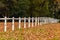 Autumn Fall Fence Trees Leaves Landscape