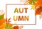 Autumn fall foliage leaves greeting card