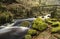 Autumn Fall forest landscape stream flowing through golden vibrant foliage and rocks