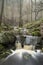 Autumn Fall forest landscape stream flowing through golden vibrant foliage and rocks