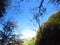 Autumn fall in the forest. Sunlight coming through the trees and blue sky. Autumn, fall season, light, sunshine, forest, nature.