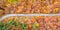 Autumn fall forest woods colorful leaves season aerial photo panoramic view road