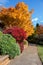 Autumn fall golden leaves in orange, yellow, red in garden setting with winding concrete pathway edged by wooden retaining wall, g