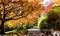 Autumn fall golden leaves in orange, yellow and red in garden setting with winding pathway