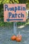 Autumn Fall Halloween Pumpkin Patch