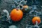 Autumn fall harvest. Cute small red organic pumpkins growing on farm. Red yellow ripe pumpkins lying on ground in garden outdoors