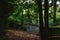 Autumn, fall on historic cemetery