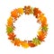 Autumn fall leave branches twigs colorful wreath