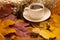 Autumn, fall leaves, a hot cup of coffee and a warm scarf on the