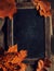 Autumn, fall leaves on vintage Empty blank black chalkboard with copyspace. Cozy Autumn Still Life Background