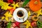 Autumn or Fall morning coffee concept. Flat-lay of persimmon, apple, grapes, pumpkin, chestnuts and mug of coffee with yellow, red