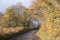 Autumn fall road with orange leaves on trees and tarmac at Glenesk in Scotland