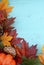 Autumn Fall Rustic Wood Background.