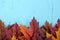 Autumn Fall Rustic Wood Background.