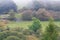 Autumn Fall scene, mist grass and Trees, Wales, United Kingdom.