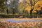 Autumn, fall season, Empty lonely wooden brown bench in the city park, a lot of colorful fallen leaves. Sad, loneliness